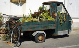 013- service gefällig